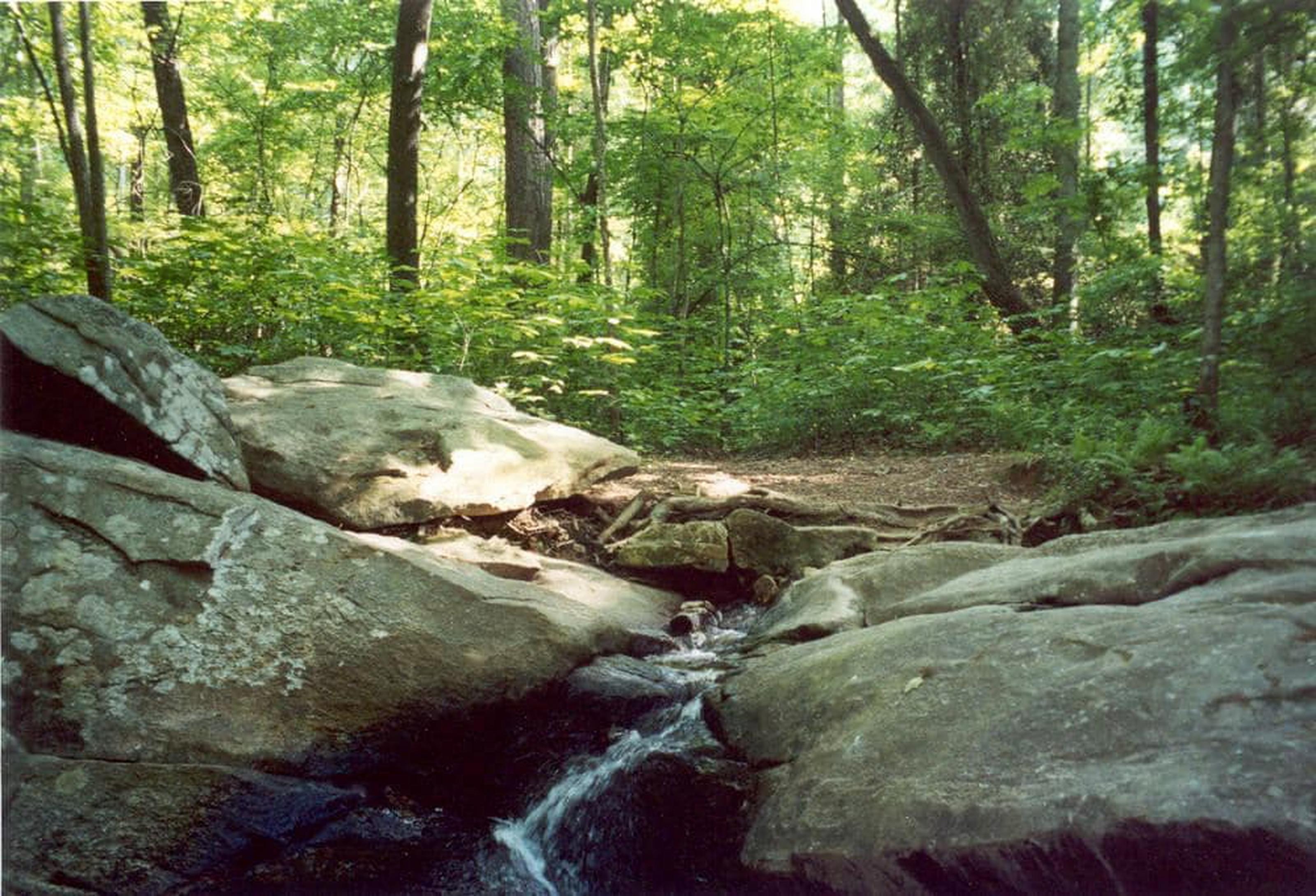 Atlanta Evergreen Lakeside Resort Стоун Маунтин Екстериор снимка
